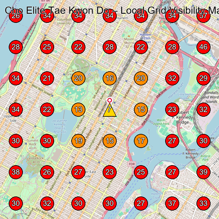 Cho Elite Tae Kwon Do GeoGrid visibility map for Taekwondo School in Jersey City